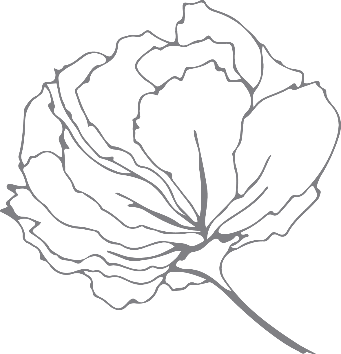 Archiwed | Architetto di Matrimoni ed Eventi